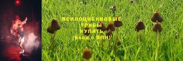 apvp Новодвинск
